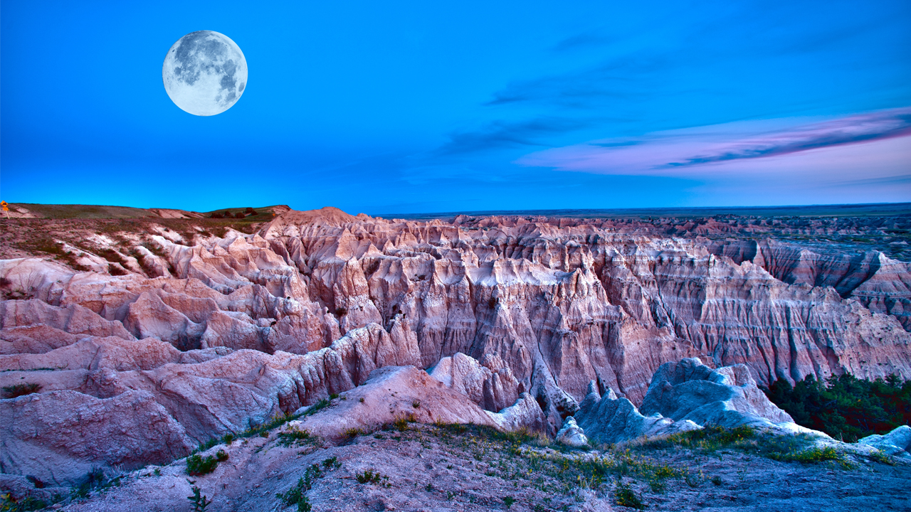 Crédit: welcomia, Shutterstock Crédit: welcomia, Shutterstock